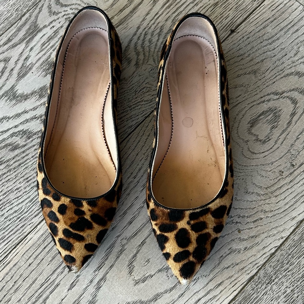 Women's J Crew Leopard Print Pointed Toe Flats - Brown